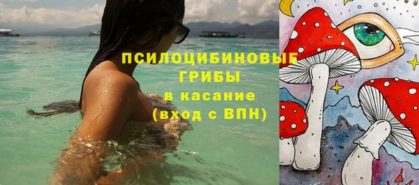 Альфа ПВП Мегион