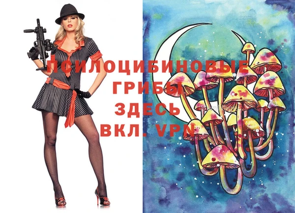 ALPHA-PVP Медногорск
