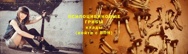 Альфа ПВП Мегион