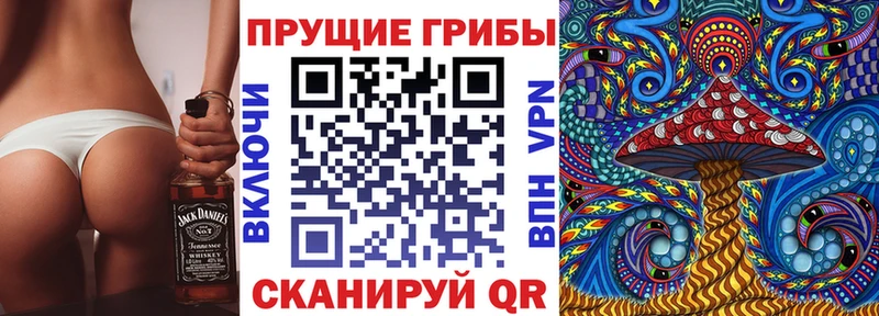 Псилоцибиновые грибы Psilocybine cubensis  Купить закладки  Дно 