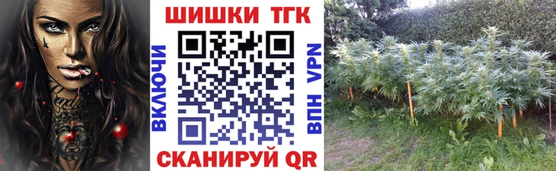 Купить закладки  Дно  Шишки марихуана THC 21% 
